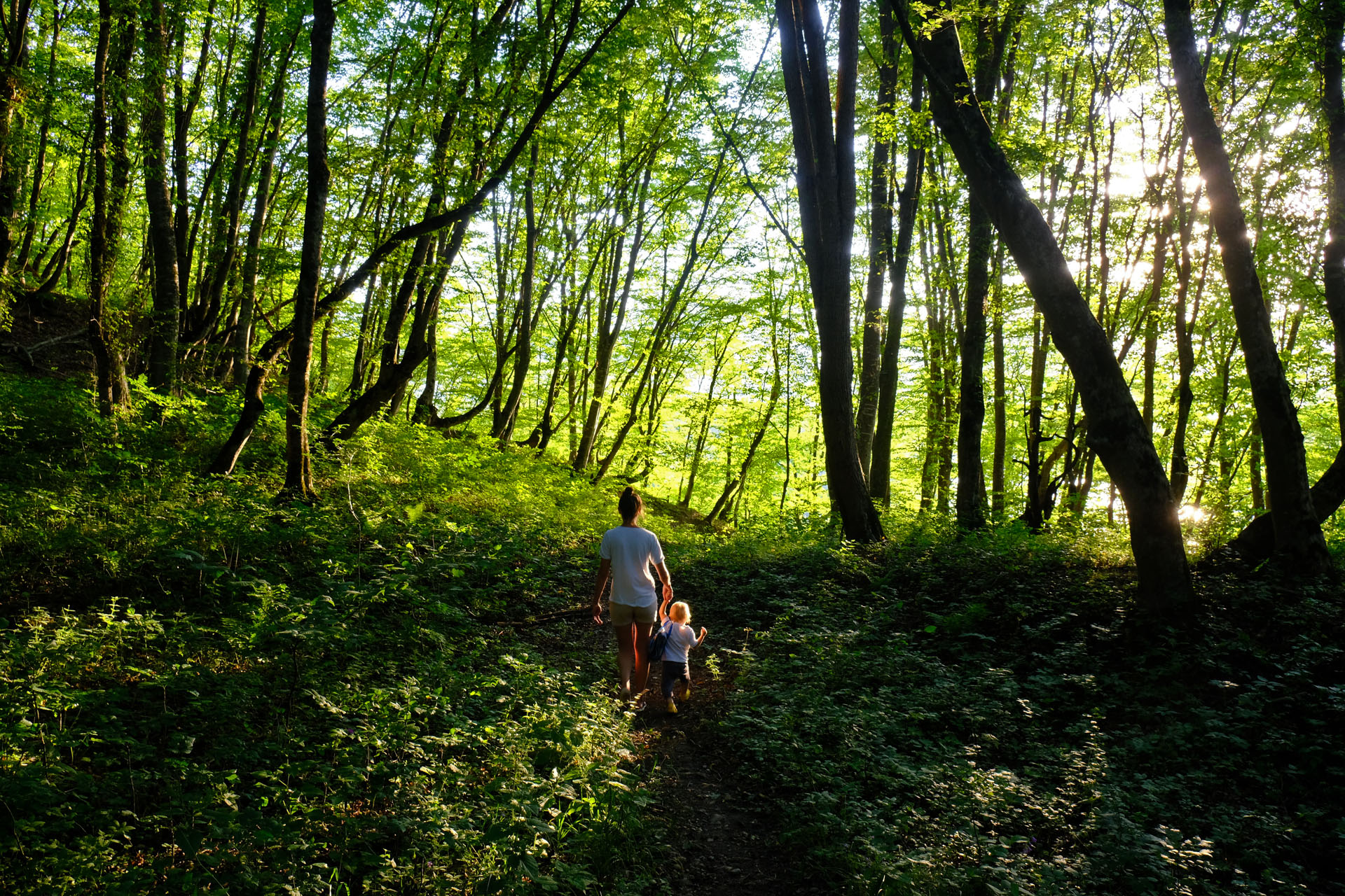Wald_B-Kinder-s